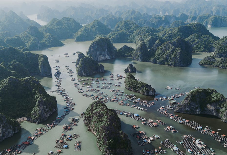 The Best Beaches in Cat Ba Island – Where Emerald Water Meets Limestone Cliffs